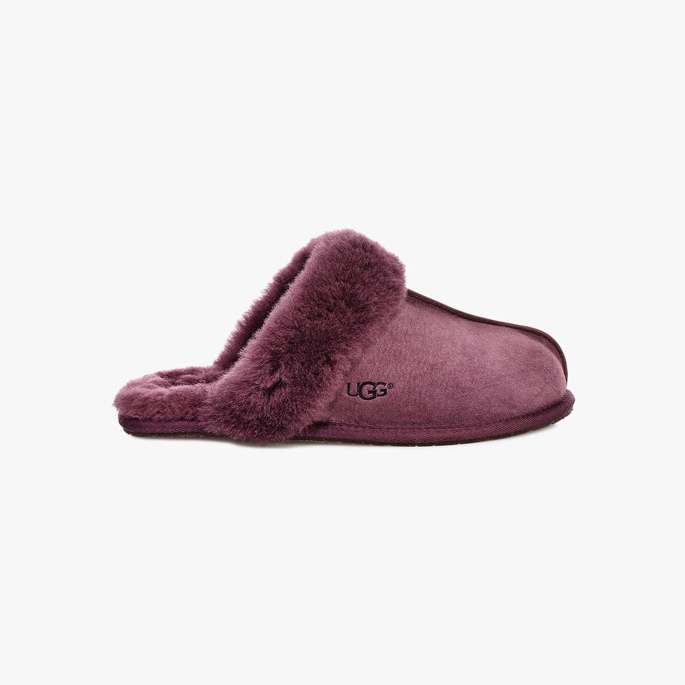 Chausson UGG Scuffette II Femme Violette Soldes 269XTJME